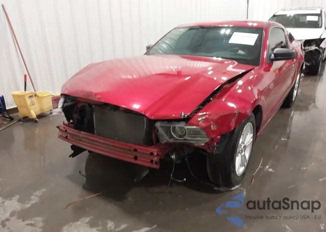 1ZVBP8AM7D5224070: 44045111