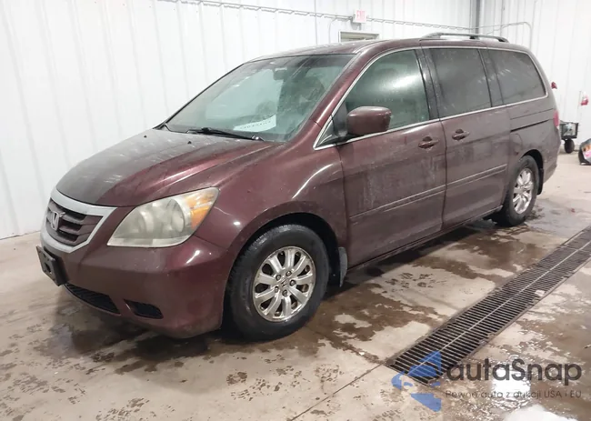 5FNRL38428B013353: 44045164