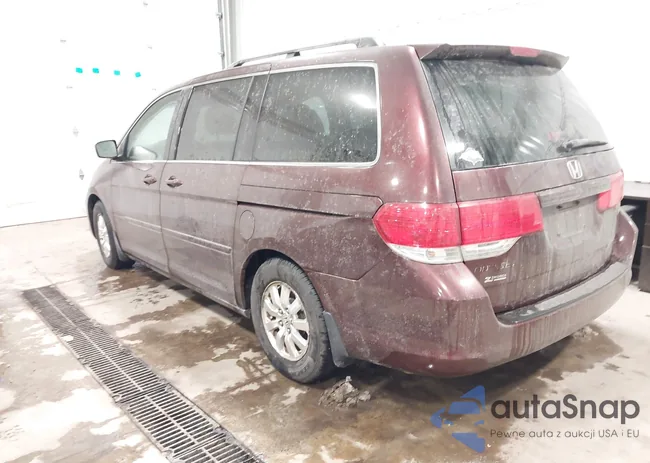 5FNRL38428B013353: 44045164