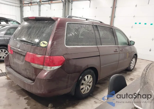 5FNRL38428B013353: 44045164