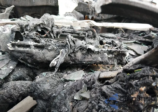 3KPF54AD2NE479718: 44045225