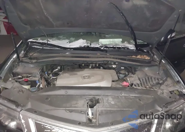 2HNYD2H29DH517026: 44044452