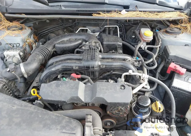 JF2GPACC8F8220908: 44045720