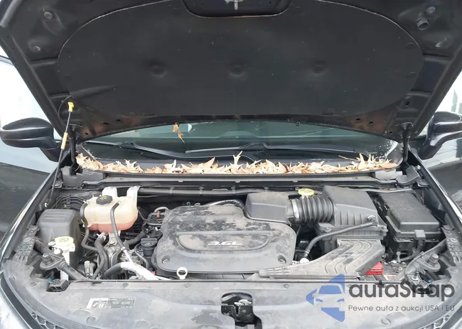 2C4RC1BG0JR274319: 44046656