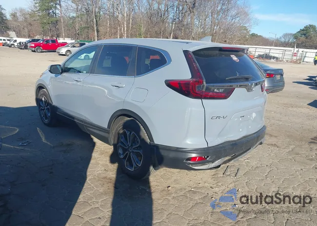 5J6RW1H59ML002341: 44046701