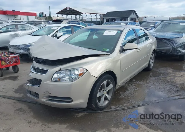 1G1ZC5E16BF217543: 44046955