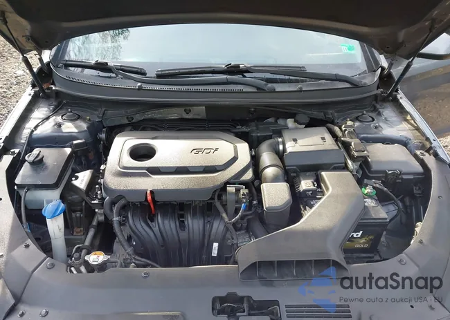 5NPE24AF0JH696924: 44048189