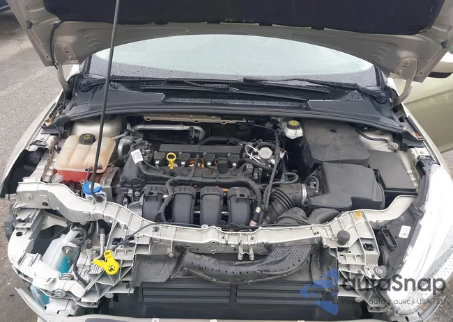 1FADP3F22JL287712: 44047519