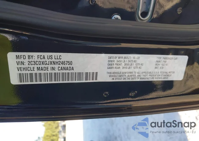 2C3CDXGJXNH246750: 44049639