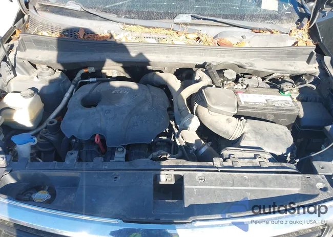 KNDPC3A65C7173003: 44049473