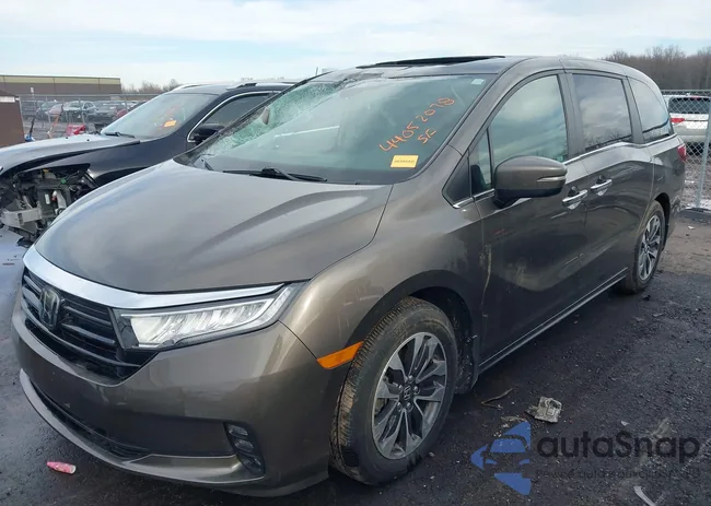 5FNRL6H7XMB036742: 44052078