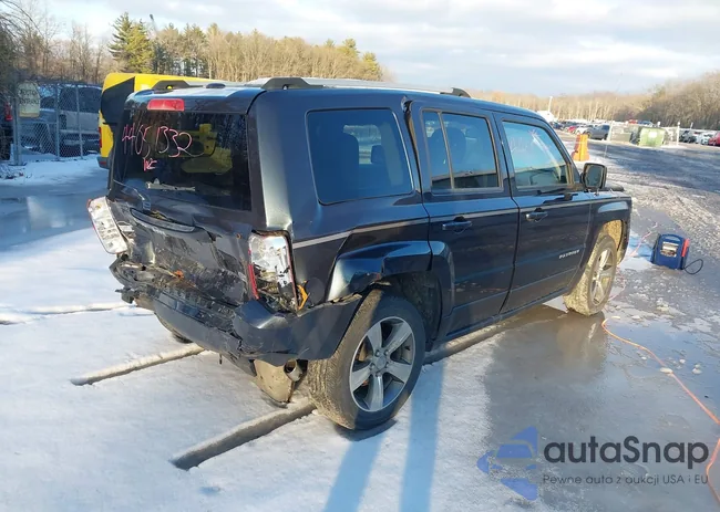 1C4NJRFB4GD523489: 44051332