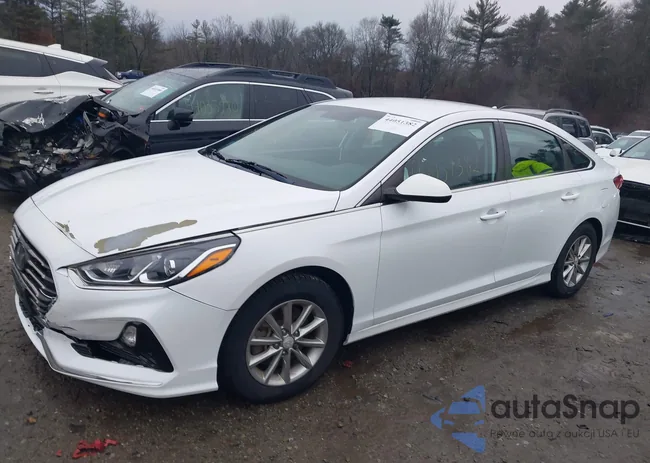 5NPE24AFXKH786325: 44051382