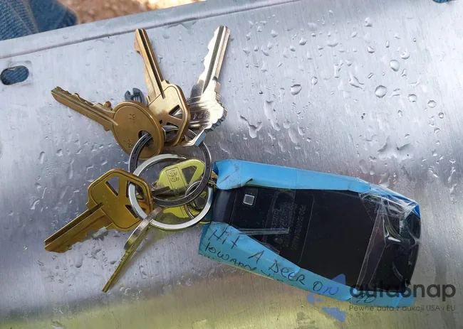 JF1ZDBF16P8705717: 44051616