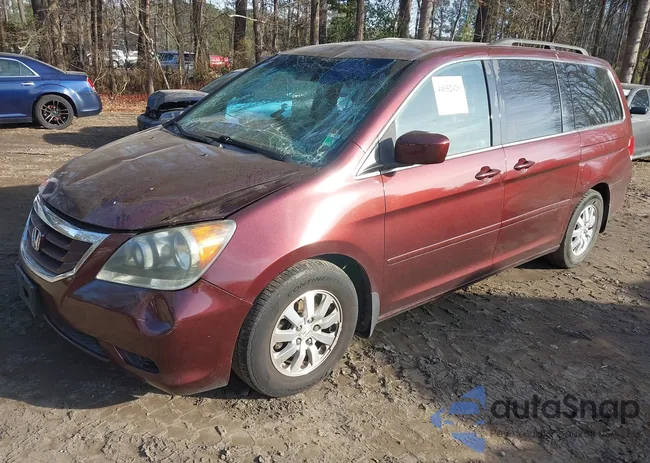 5FNRL38439B032852: 44052420