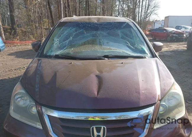 5FNRL38439B032852: 44052420