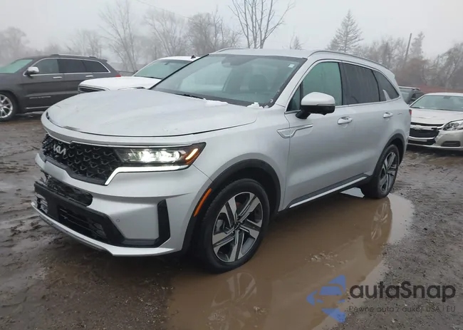 KNDRKDLG3P5160405: 44052585