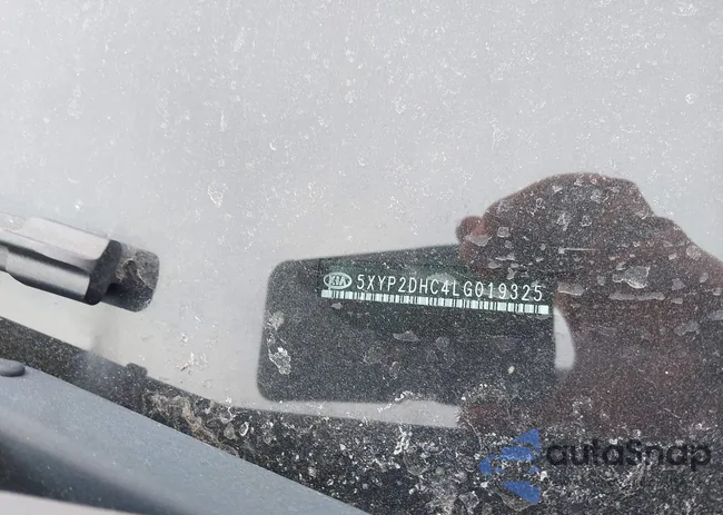 5XYP2DHC4LG019325: 44054208