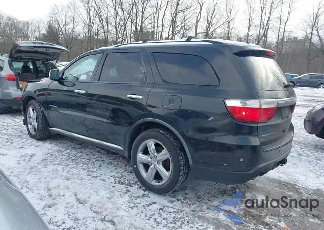 1D4SE5GT5BC651667: 44053479