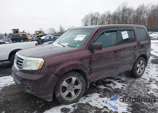 5FNYF4H5XDB081444: 44054800