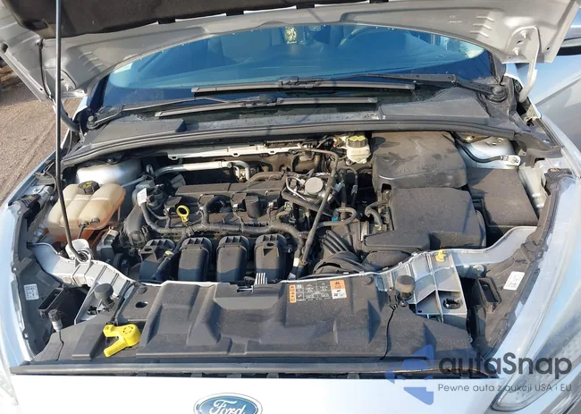 1FADP3F25HL300088: 44055019