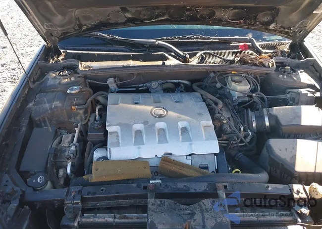 1G6KD54Y33U247300: 44055152