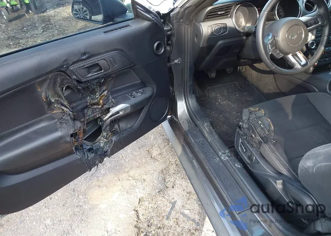 1FA6P8CF0H5231022: 44058120