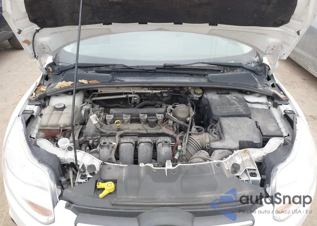 1FADP3F29DL156989: 44059000