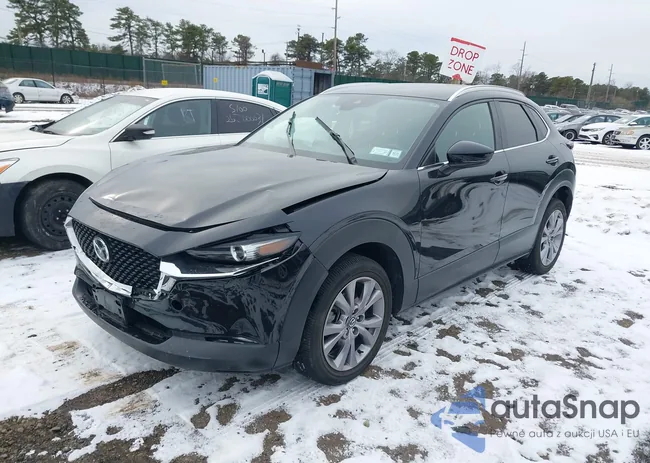 3MVDMBBMXPM510010: 44059399