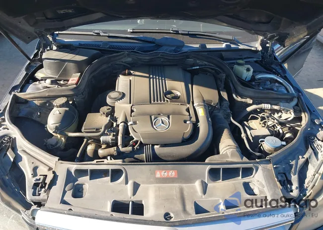 WDDGF4HB1DR283980: 44060664