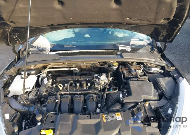 1FADP3F22GL363471: 44060811