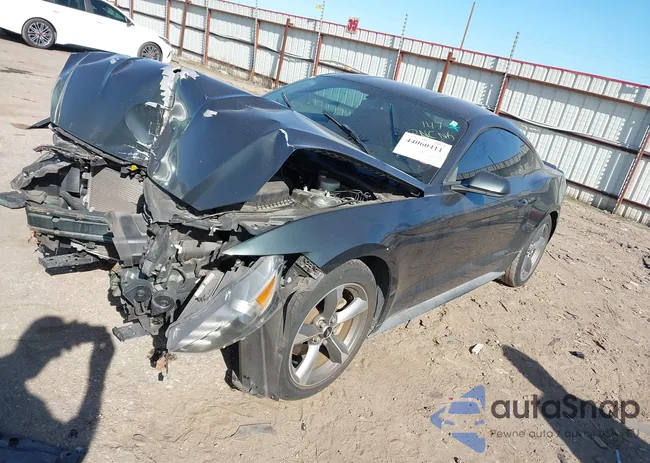 1FA6P8AM7F5342097: 44060411