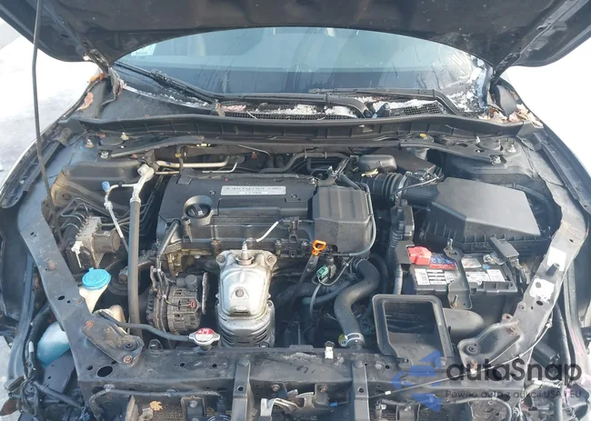 1HGCR2F55GA013236: 44061653