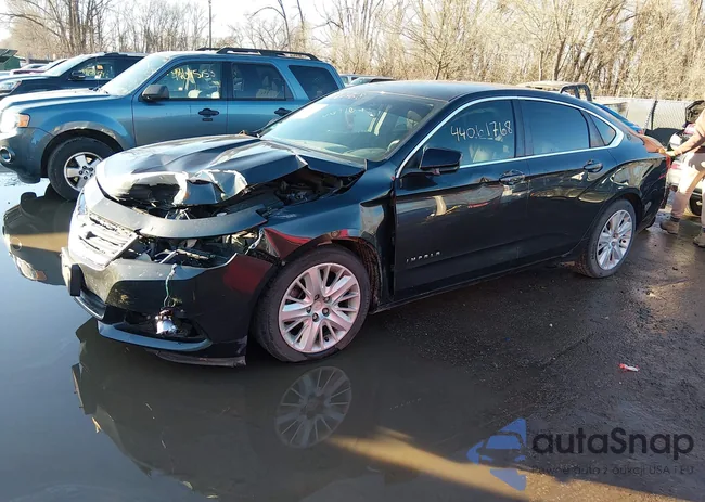 2G11Y5SL2E9281693: 44061768