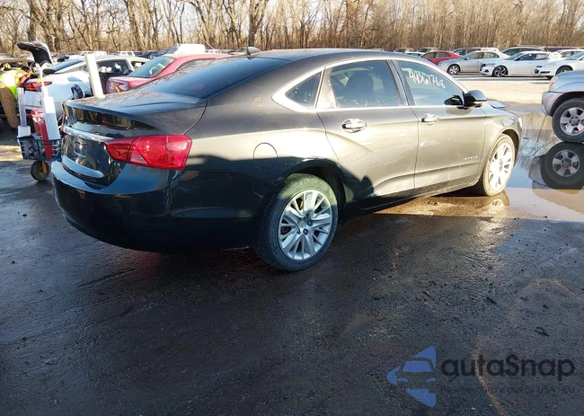 2G11Y5SL2E9281693: 44061768