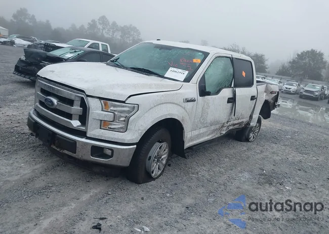 1FTEW1EF0HFC36597: 44061918