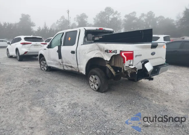 1FTEW1EF0HFC36597: 44061918