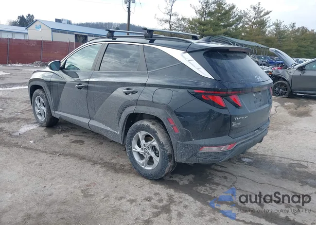 5NMJBCDE6RH401782: 44061453