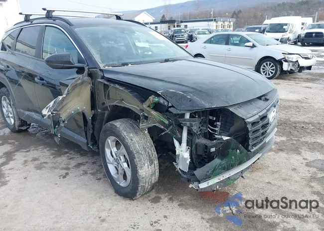 5NMJBCDE6RH401782: 44061453