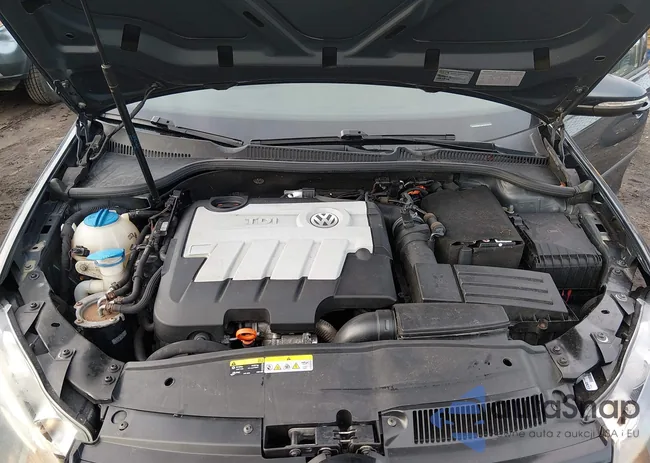 WVWDM7AJ8CW278135: 44061498