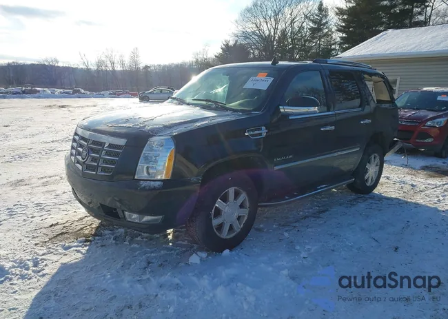 1GYS4AEF3CR202034: 44062841