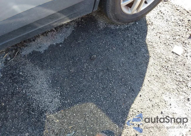 WVGAV7AX3CW542779: 44063868