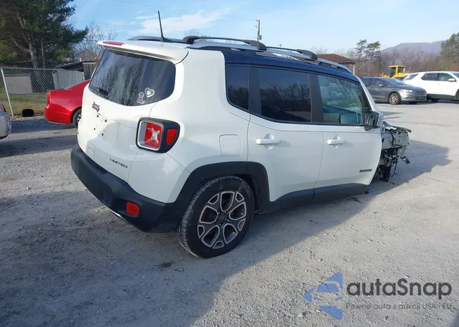 ZACCJBDB9JPH11094: 44065000