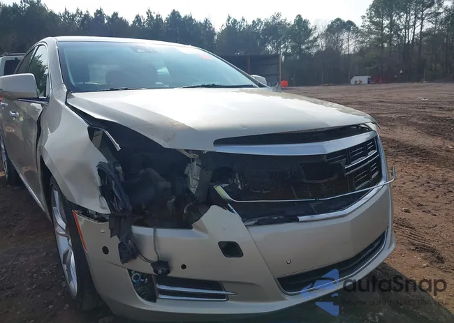 2G61P5S37G9153868: 44065099