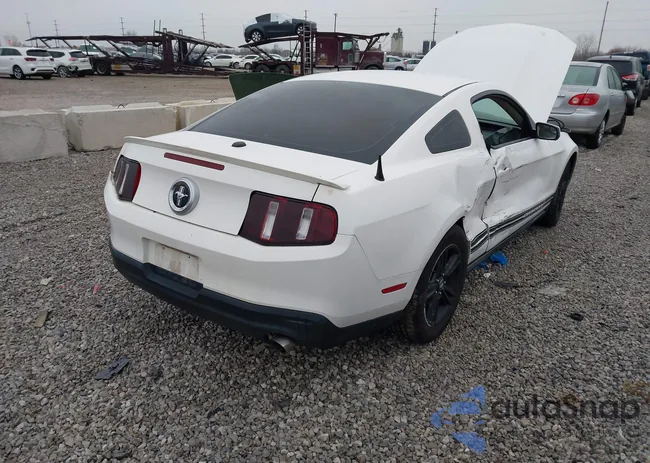 1ZVBP8AM9B5115574: 44065105