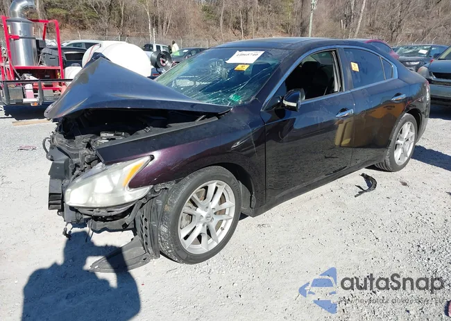 1N4AA5AP9BC818683: 44065740