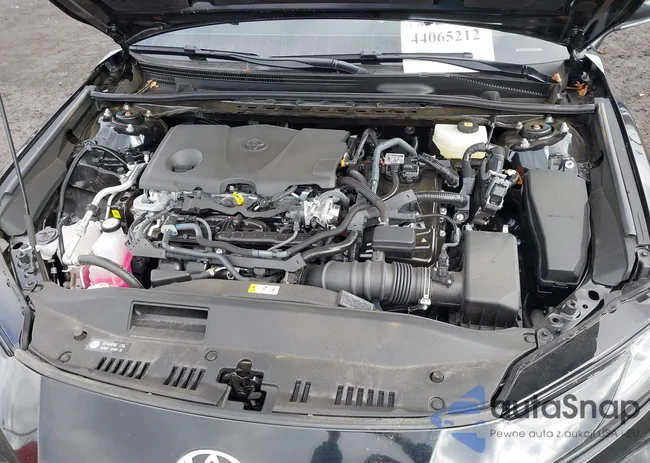 4T1DBADK8SU529958: 44065212