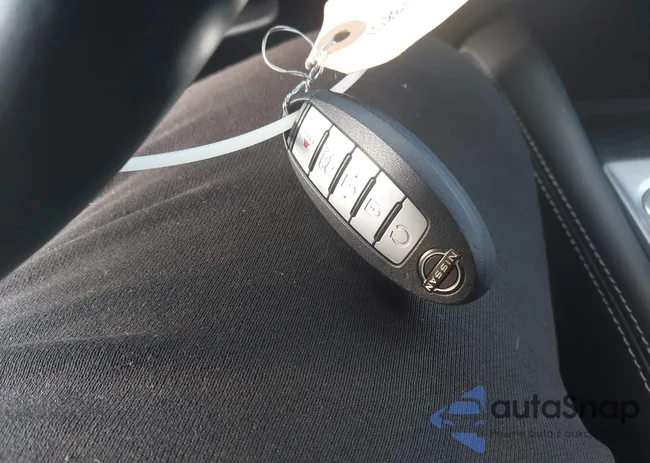 1N4BL4DV7PN421262: 44065416