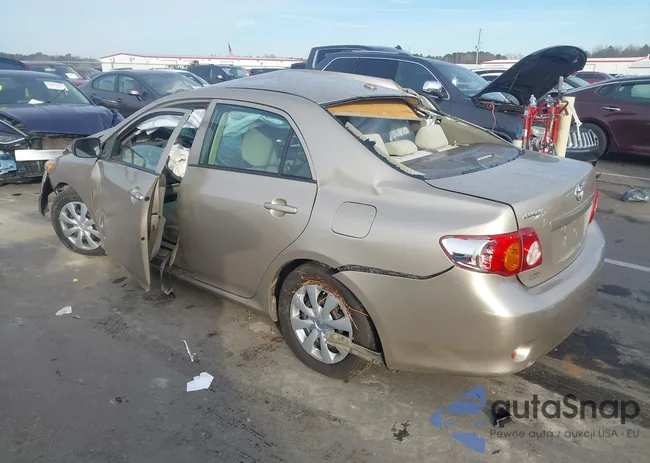 2T1BU4EEXAC368461: 44065464