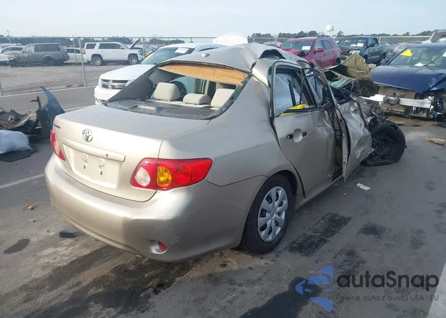 2T1BU4EEXAC368461: 44065464